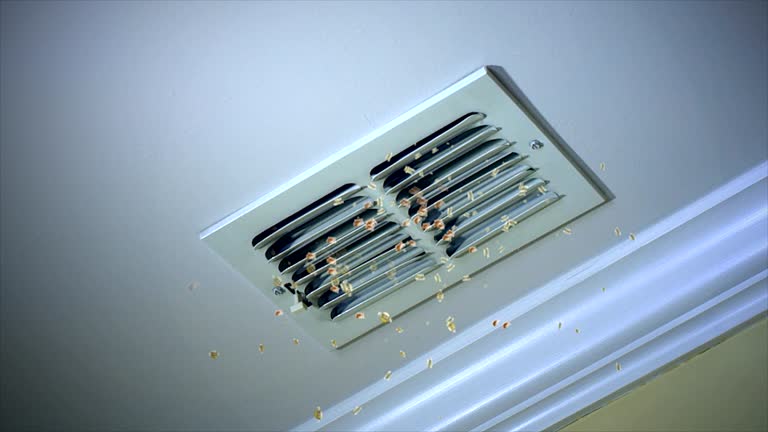 Best Ventilation Cleaning Services  in New Johnsonville, TN