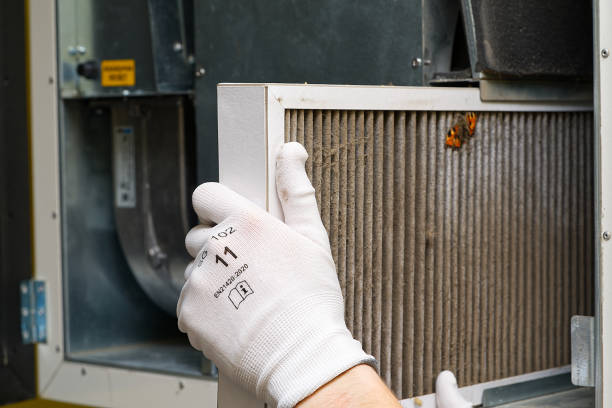 Best Ductwork Cleaning Services  in New Johnsonville, TN