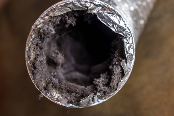 Best HVAC System Cleaning  in New Johnsonville, TN